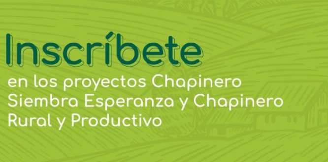Vincúlate a los programas de agricultura urbana, periurbana y del sector rural de Chapinero