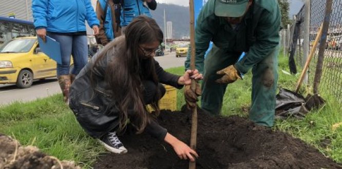 la Bogotá Mejor Para Todos hemos plantado 184.502 nuevos árboles
