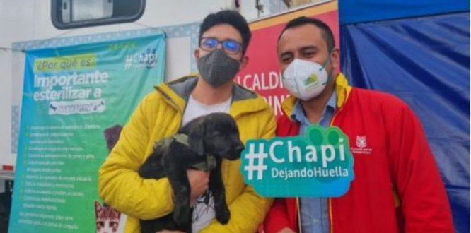 “Chapi Dejando Huella” atenderá a 2 mil caninos y felinos en condición de vulnerabilidad con servicios de urgencias, brigadas médicas, entre otros componentes.