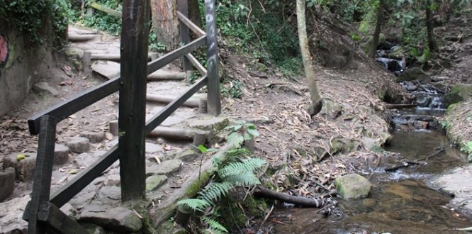 La CAR suspendió preventivamente las actividades de senderismo y turismo ecológico en la quebrada La Vieja, 