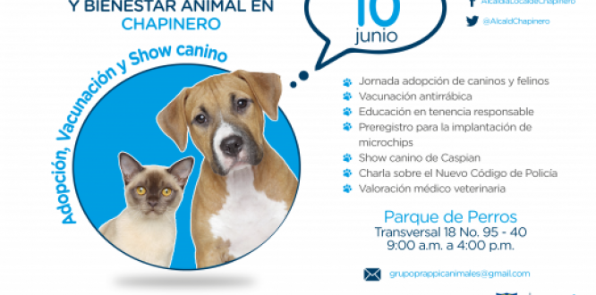 Jornada de Protección y Bienestar Animal en Chapinero