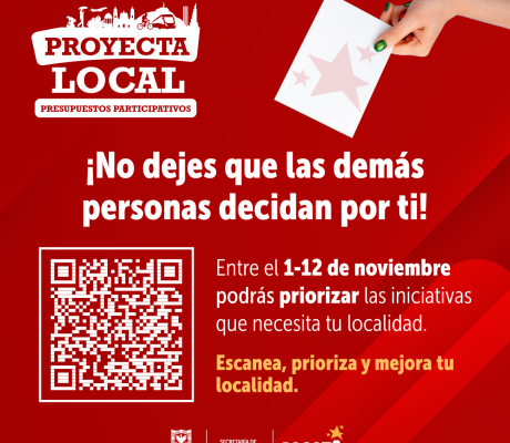 PRESUPUESTOS PARTICIPATIVOS 2024