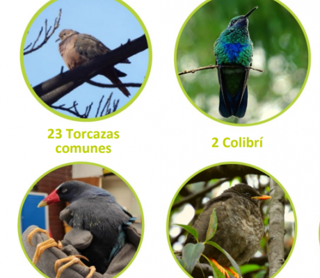 Avanzamos en la protección identificación, bienestar y manejo de la fauna silvestre.