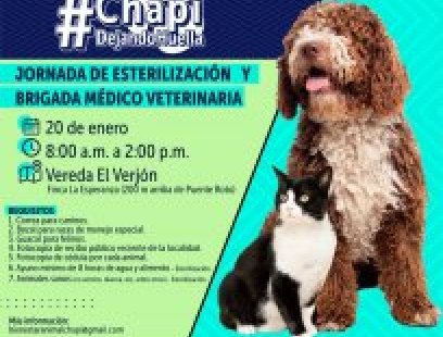 Jornada esterilización y brigada médico-veterinaria en El Verjón 
