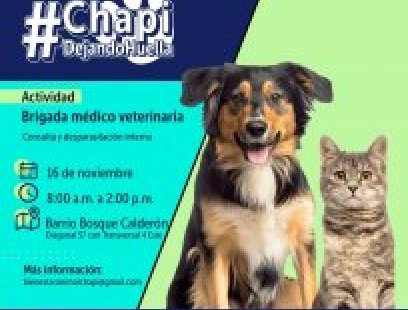 Brigada médico-veterinaria en Bosque Calderón