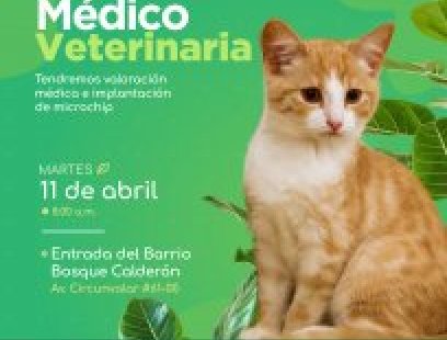 Brigada médico-veterinaria en el barrio Bosque Calderón