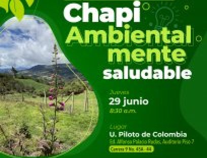 Consejo Local de Política Social CLOPS sobre Salud Ambiental