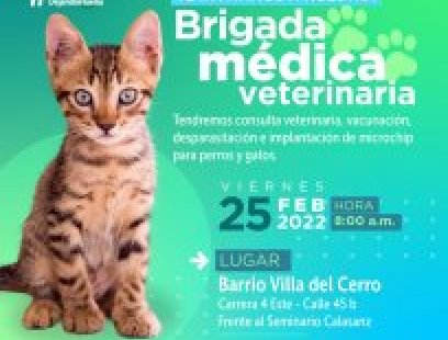 Brigada médica veterinaria
