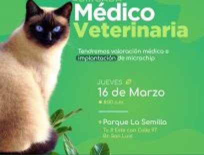 Brigada médico-veterinaria
