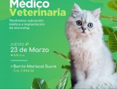 Brigada médico-veterinaria en el barrio Mariscal Sucre
