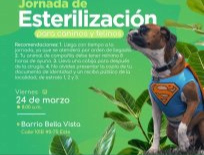 Jornada de esterilización Barrio Bella Vista