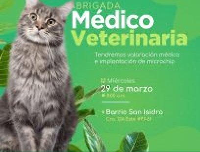 Brigada médico-veterinaria en el San Isidro 