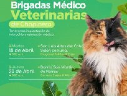 Brigada médico-veterinaria en el barrio San Martín de Porres