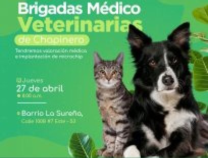 Brigada médico-veterinaria en el barrio La Sureña