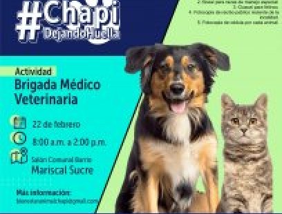 Brigada médico-veterinaria en Mariscal Sucre