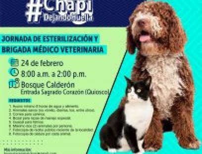 Jornada de esterilización y brigada médico-veterinaria en Bosque Calderón