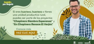 Inscríbete en los proyectos ‘Chapinero Siembra Esperanza’ y ‘En Chapinero Renace El Verjón’