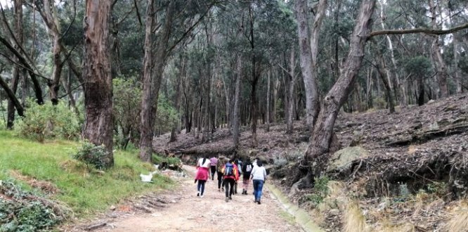 Foto del recorrido El Corredor Verde De La Séptima: Una Propuesta De Conectividad Entre Quebradas Y Comunidad