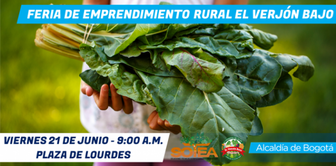 Feria de emprendimiento