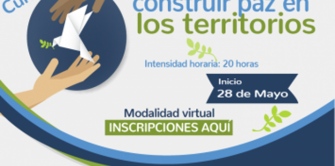 Curso virtual IDPAC