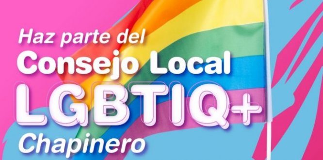Contexto elección Consejo Local LGBTIQ+