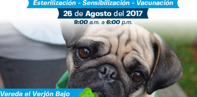 En Chapinero se realizará la Tercera Jornada de Protección y Bienestar Animal