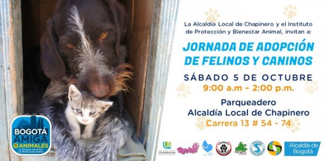 Jornada adopción de caninos y felinos
