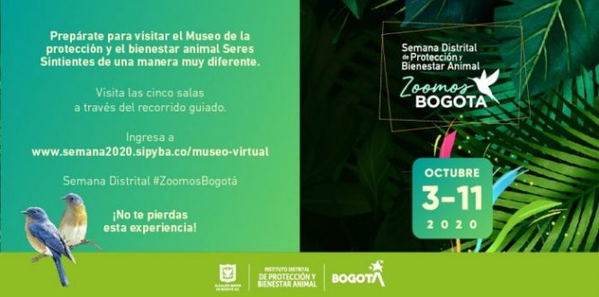 ¡Vive una experiencia sorprendente con el museo virtual Seres Sintientes!