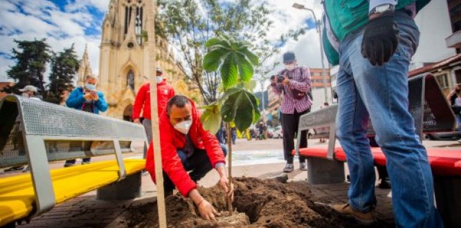 Distrito y comunidad recuperan el Parque Lourdes para recibir la Navidad
