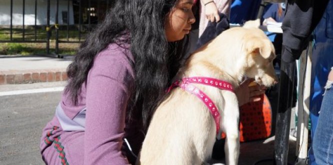 Foto de bienestar animal