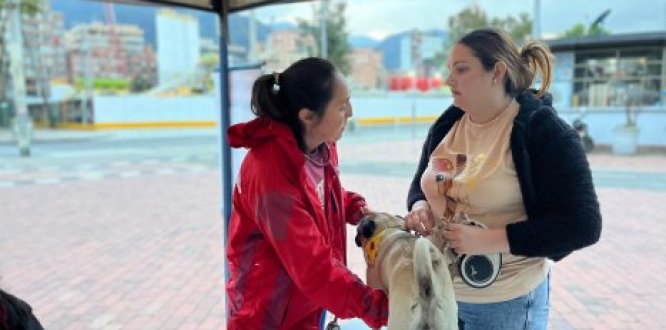 Foto de animales Foto de animales