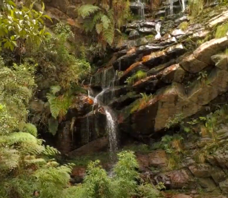 Reserva ecológica el Delirio