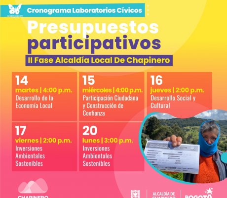 Presupuestos Participativos