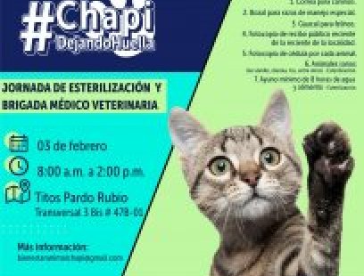 Jornada de esterilización y brigada médico-veterinaria