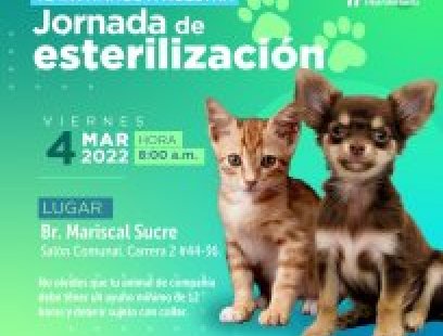 Jornada de esterilización