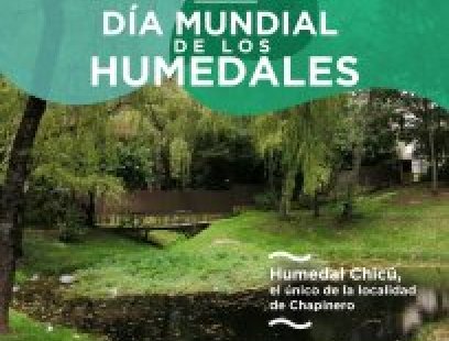 Día mundial de los humedales