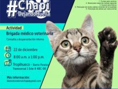 Brigada médico-veterinaria en el barrio El Paraíso