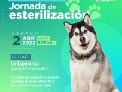 Jornada de esterilización en el barrio La Esperanza