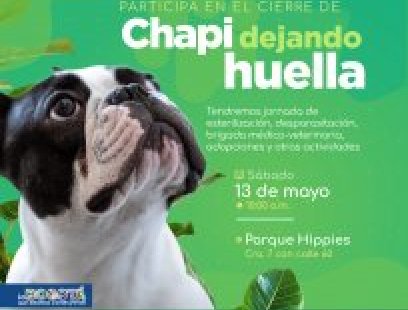 Cierre de Chapi Dejando Huella