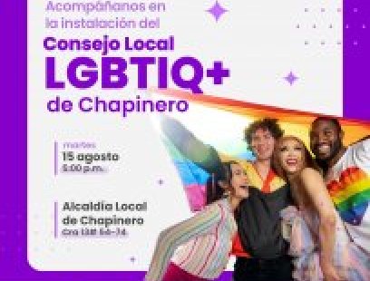 Posesión Consejo Local LGBTIQ+