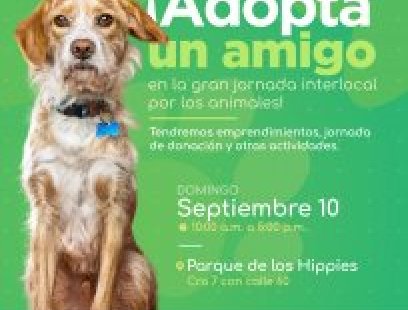 Jornada Inter-Local por los animales