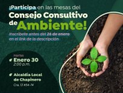 Convocatoria Consejo Consultivo de Ambiente 