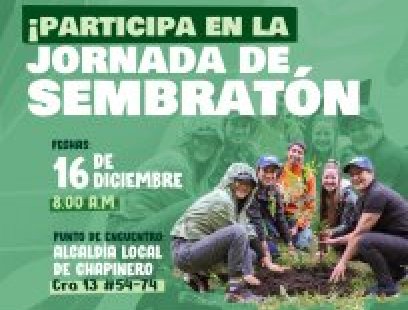 Sembratón en la vereda El Verjón
