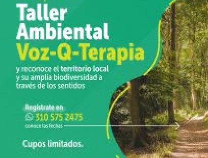 Taller ambiental Voz-Q-Terapia