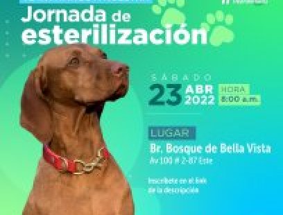 Jornada de esterilización en el Barrio Bosque de Bella Vista