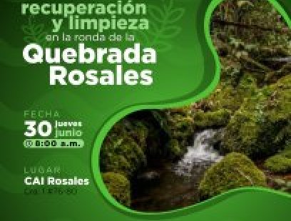 Jornada de limpieza en la Quebrada Rosales