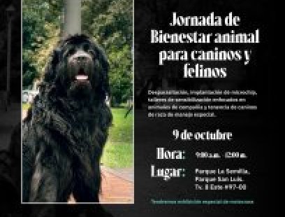 Gran jornadas de bienestar para caninos y felinos