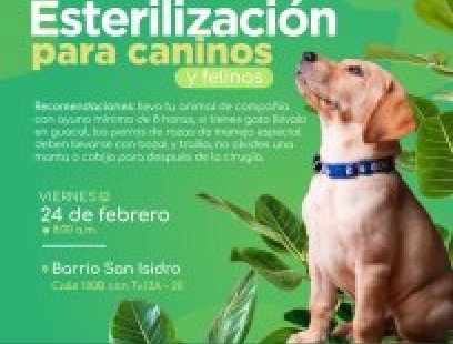 Jornada de esterilización en el barrio San Isidro