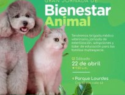 Gran jornada de bienestar animal