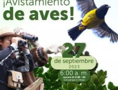 Jornada de avistamiento de aves en el Sendero El Gran Chicó
